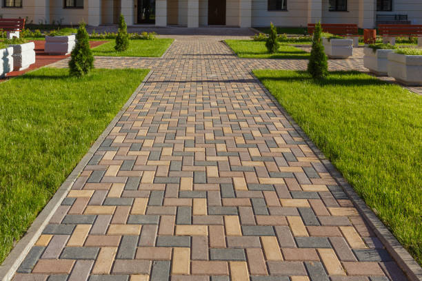 Best Local Driveway Pavers  in Austin, AR